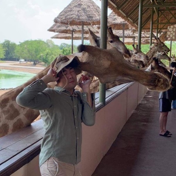 ▲泰國網友日前到賽佛瑞野生動物園與長頸鹿做近距離接觸時，竟被其中一隻鹿鹿不小心撞傷（圖／FB@Puunpuun