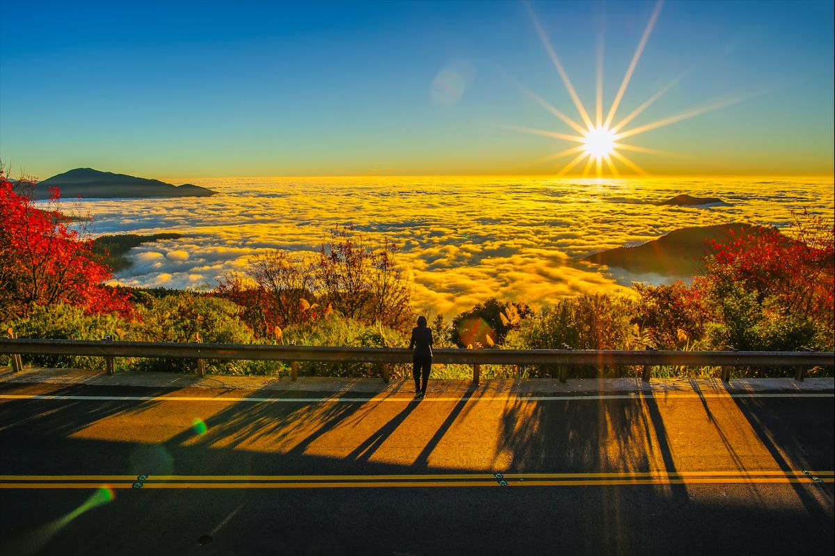 ▲阿里山日出。（圖／取自Shutterstock)