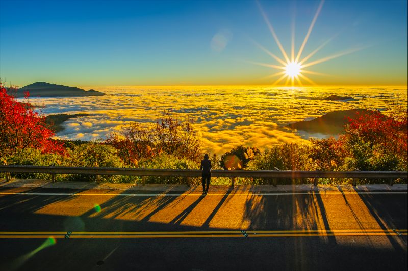▲阿里山日出。(圖/取自Shutterstock)