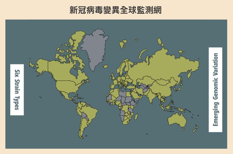 ▲中研院團隊設立網站,即時監測世界各國正在發生的新興病毒變異,發現需要密切注意的變異株時,盡速提供資訊給各個病毒傳播研究與疫苗研發單位。(圖/研之有物)