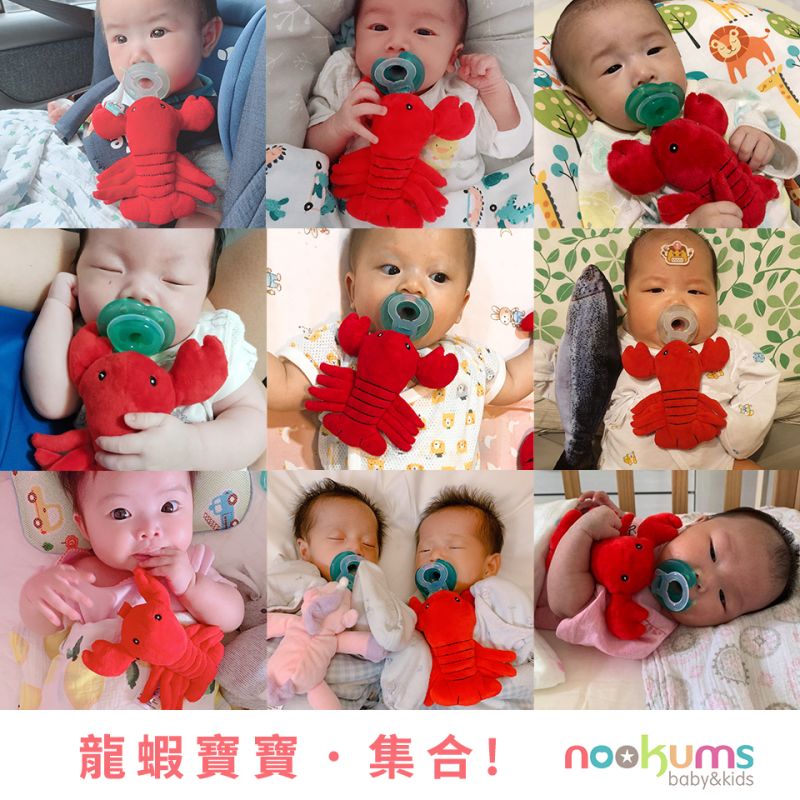 ▲風靡媽媽圈的Nookums「龍蝦哥」,相信大家應該不陌生!(圖/品牌提供)