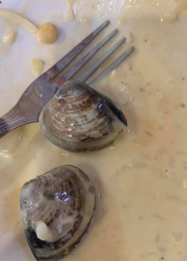▲義大利麵內的5顆蛤蜊，就有2顆沒煮開，1顆是裝滿飯粒的。（圖／翻攝自《爆怨公社》）
