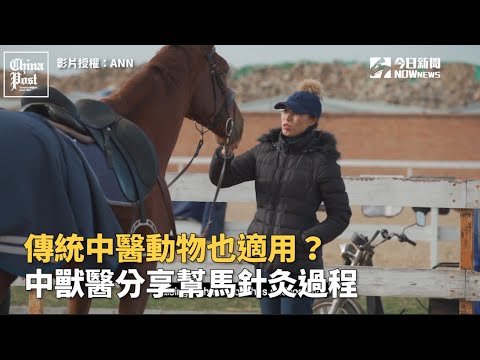 ▲來自北京的 Dong Wenchao 是馬匹針灸療法的專家，她與西藏馬術團隊合作，將針灸運用於提高賽馬對疼痛的忍受度及傷後復原速度，以增加賽馬的競爭力。（圖／ANN）