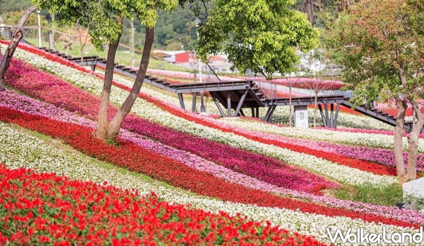 ▲「北投社三層崎公園」，效仿日本打卡聖地「富良野花海」的植栽種植藝術。（圖／Taipei Walker提供）