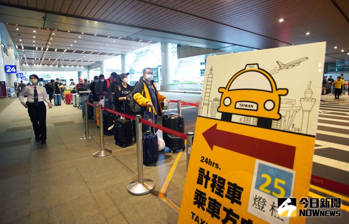 ▲中央規定入境旅客需居家檢疫14天的緣故，不少旅居國外台胞一月底就紛紛提早入境返台，桃園機場難得出現大量排隊入境人潮。（圖／記者李春台攝）