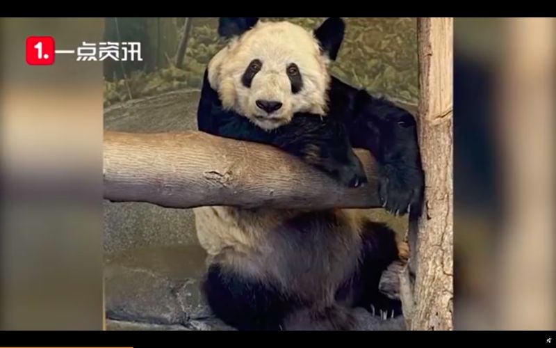 ▲(圖/翻攝自微博)