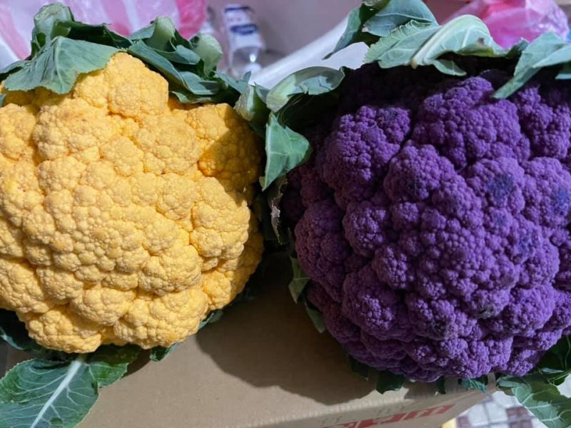 媽衝全聯見 彩色蔬菜 秒拿2顆 老饕秒吐 不輸三色豆 新奇 Nownews今日新聞 媽衝全聯見 彩色蔬菜 秒拿2顆 老饕秒吐 不輸三色豆 新奇 Nownews今日新聞