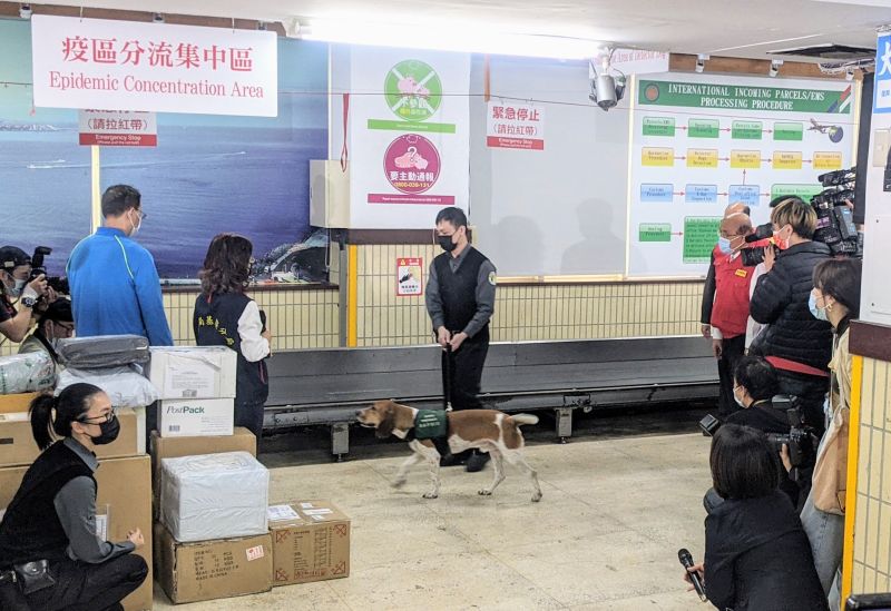 ▲行政院長蘇貞昌視察視察春節國際包裹檢疫流程,檢疫犬成為場邊亮點。(圖/記者鄭宏斌攝,2021.01.27)