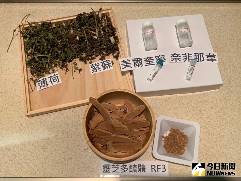 中研院揭抗新冠藥！薄荷、紫蘇有效