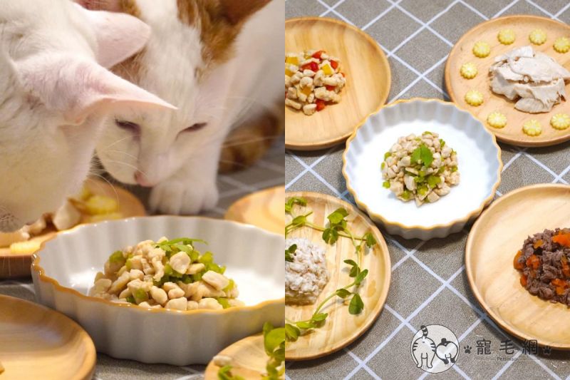 ▲主人是營養師,做出的寵物鮮食令五咪流口水!(圖/IG@咪醬帶小孩mii_chiang授權)