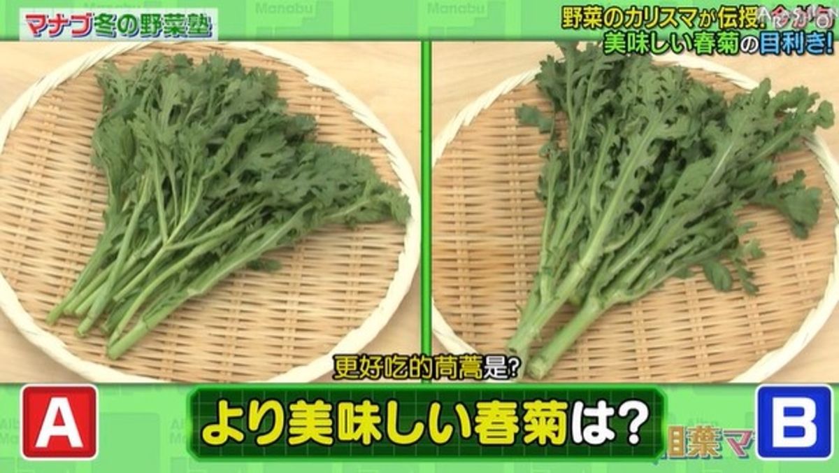 ▲圖中兩株茼蒿哪一株比較好吃？日本專家分享挑選秘訣。（圖／翻攝自《相葉マナブ》節目截圖）