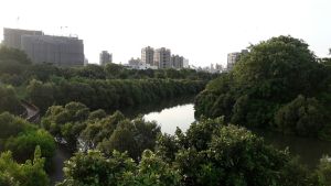 中小宅 ▲去(109)年北客至高雄買中小宅比例增加,其中又以三民區最多。圖為中都重劃區旁濕地公園。(圖/NOWnews資料照片)