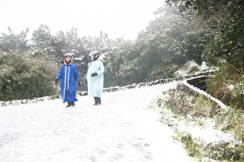 寒流來襲11縣市低溫特報！全台越晚越冷探5度　下雪熱區、機率曝
