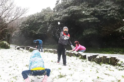 霸王寒流十周年回顧！全台凍成冰番薯　台北4度創半世紀低溫紀錄
