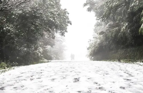 最強寒流將襲來!陽明山「下雪機率達75%」 全台最冷時間點曝光