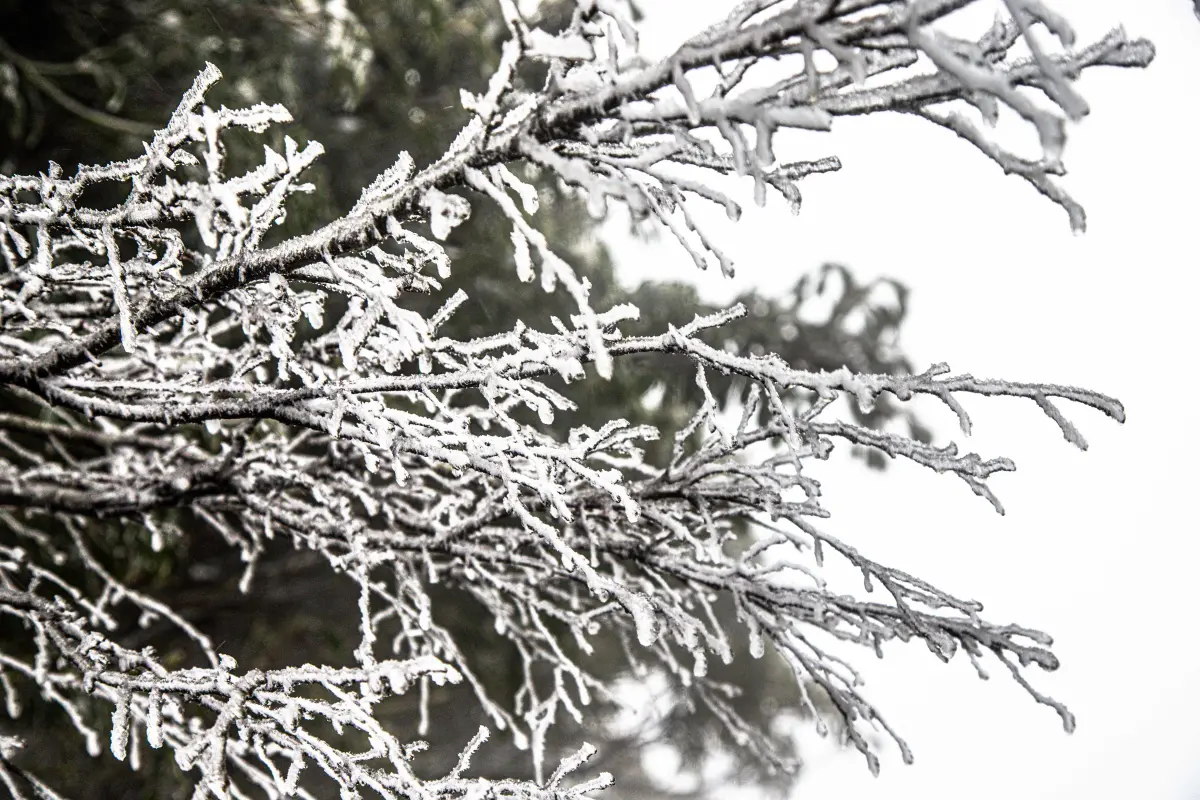▲小寒節氣即將到來，是整個冬季遇到的第五個節氣，也是2024年迎接的第一次節氣交替，命理專家小孟老師提醒，4星座有吉星加持桃花運，人緣、魅力旺到爆。（示意圖／《NOWnews資料照》）