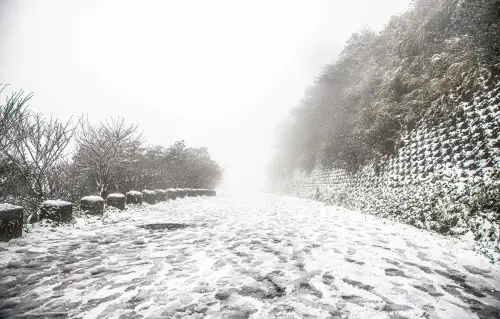 寒流殺到陽明山會下雪？吳德榮：低溫跌破6度　全台最冷時刻出爐
