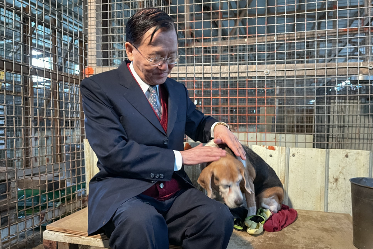 國寶級主播盛竹如南下貓狗收容中心拍公益短片，經典台詞重出江湖（圖／台灣動物緊急救援小組）