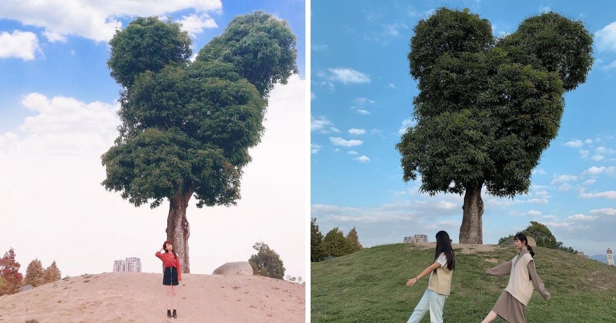 ▲萬坪公園｜Wanping Park (Photos courtesy of @daidai0201 (left) and @gi_920 (right) /Instagram)