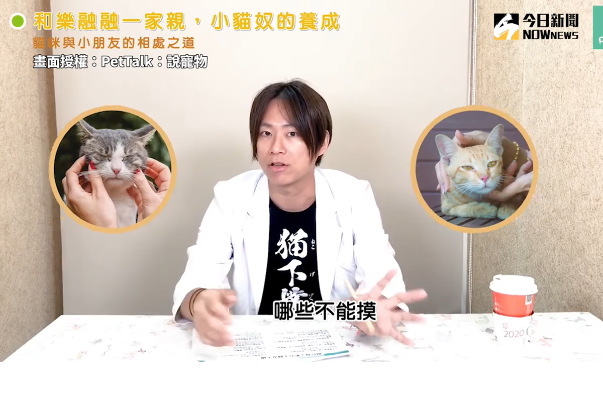 想讓小孩跟貓咪和平相處，其實可以這麼做！（圖／PetTalk）