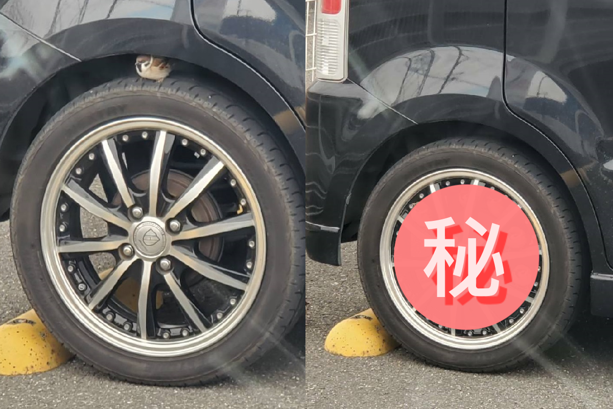 車輪上停隻小麻雀，不久竟「複製貼上」成麻雀摩天輪！ （圖／Twitter＠magogogoro）