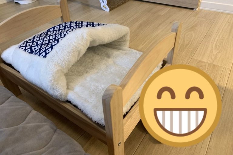 日本一名飼主買了一張可愛又舒服的床給貓咪（圖／twitter@h_mugikinu）