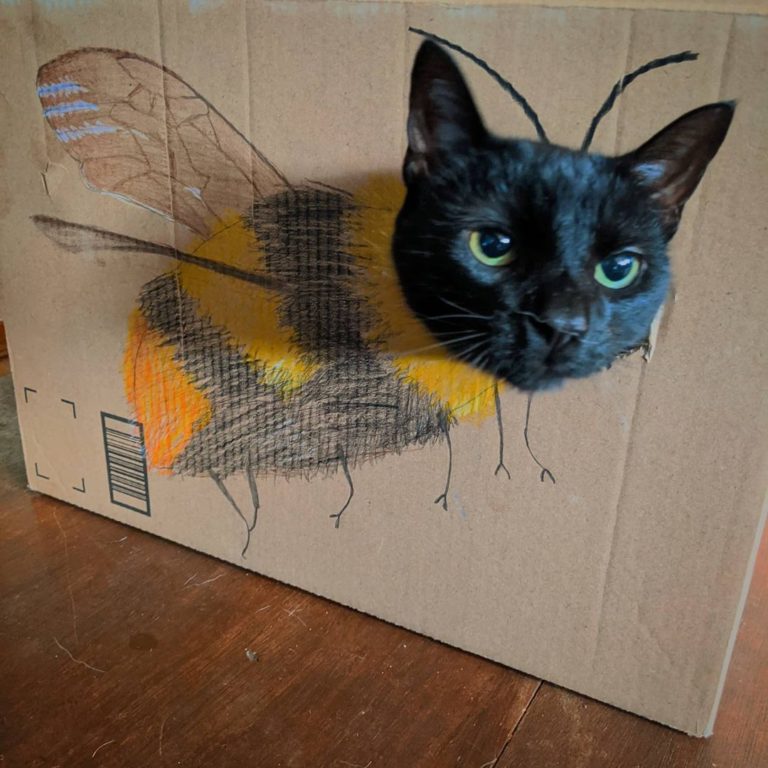 變成「貓蜜蜂」了！（圖／Instagram＠kingthrillerkitty）