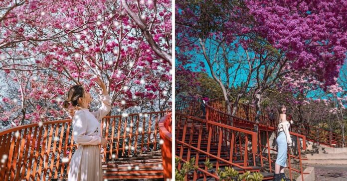 ▲三甲公園｜Sanjia Park (Photos courtesy of@hannahbabyya (left) and @wei__lol (right)/Instagram)