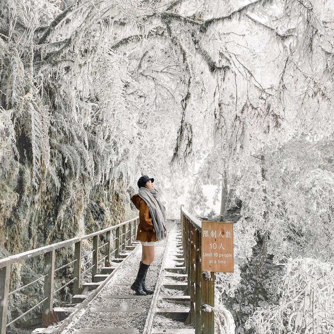 ▲太平山國家森林遊樂區。（圖／授權自IG：queenie.sj）