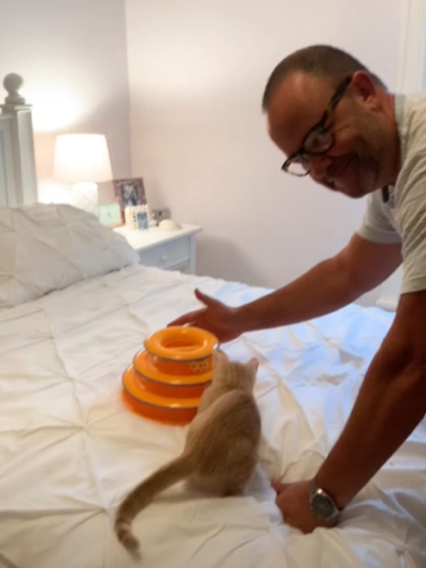 夫妻領養小橘貓　幾天後牠占據媽的床：爸爸是偶的了！