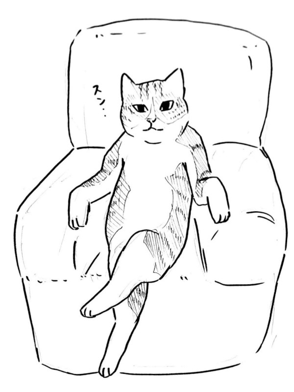 沙發出現1隻「國王貓」　奴嘆：牠以為自己是人！