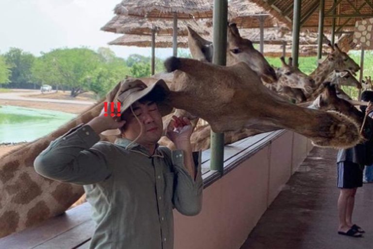 泰國一名男子日前到動物園，意外被長頸鹿「撞包」（圖／FB@Puunpuun Chulanon）