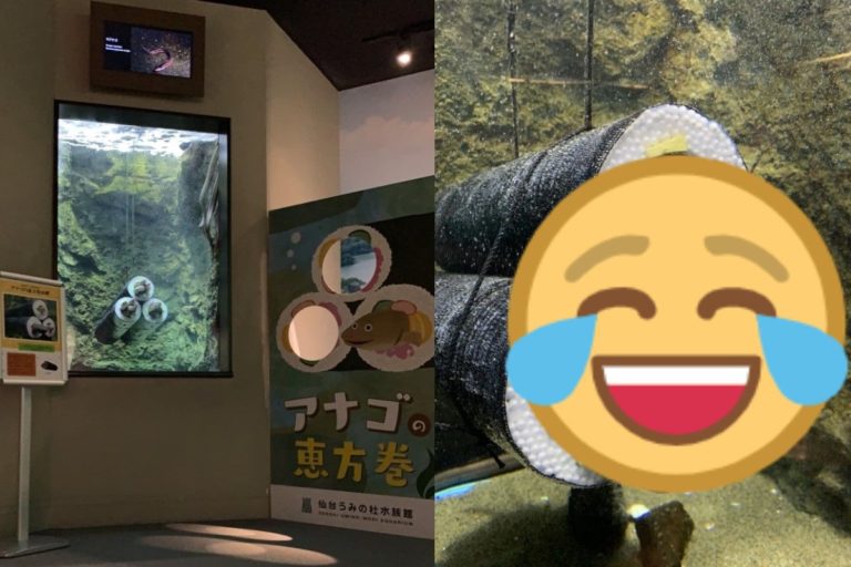 仙台水族館日前推出「星鰻惠方卷」受到遊客喜愛（圖／twitter@sendaiuminomori）