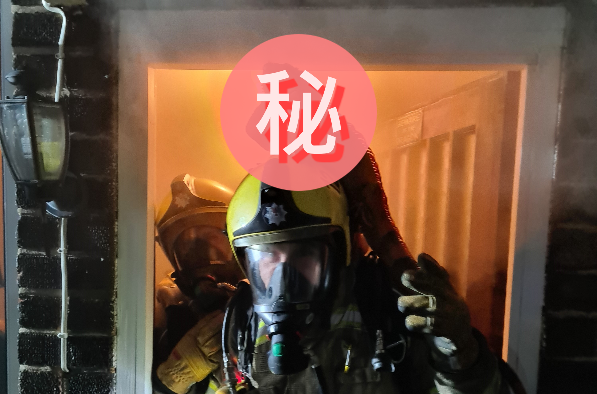 房屋失火，紅鬣蜥自己跳上「消防員頭盔」求生！（圖／Twitter＠northantsfire）
