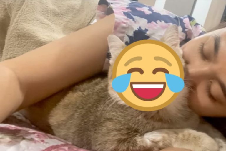 泰國一名女網友對貓咪親吻以示歉意，但貓咪的表情很無奈（圖／翻攝自FB@Waranchaya Rujirateepath）