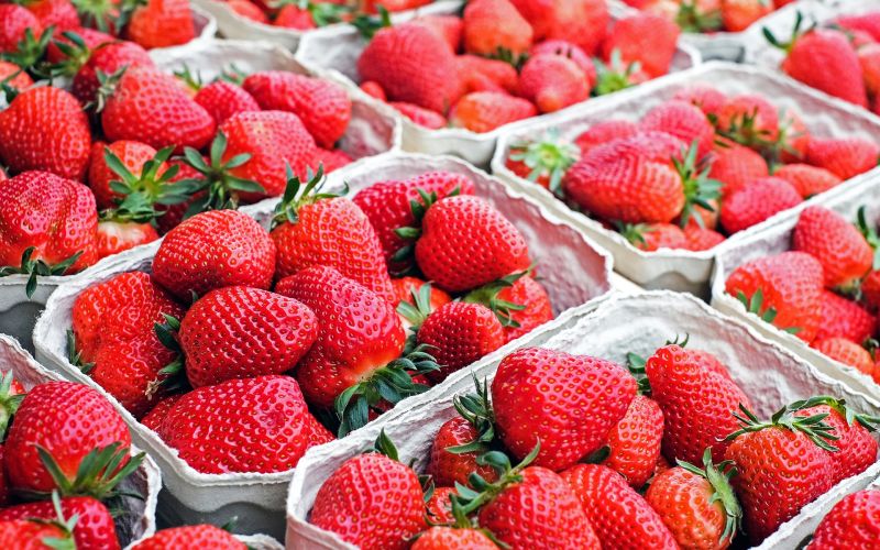 吃草莓不要一口吞！女買好市多草莓　吃一半「蟲蟲鑽出」嚇壞
