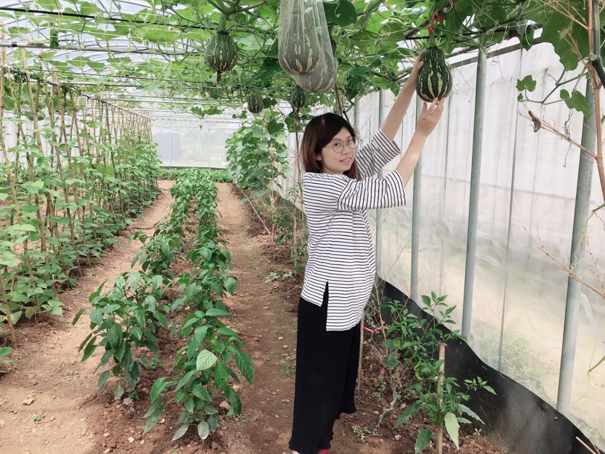 ▲青農高曉涵認為，種植有機蔬菜沒有捷徑，只有經驗累積、細心照顧與堅持理念。（圖/新北市政府農業局提供）