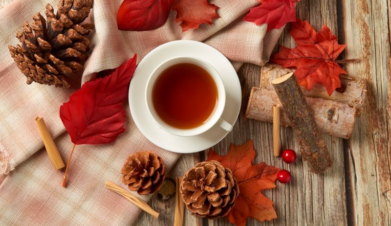 ▲台灣最具盛名的紅茶就是日月潭紅茶,其中又以「紅玉紅茶」最具特色。(圖/品牌提供)