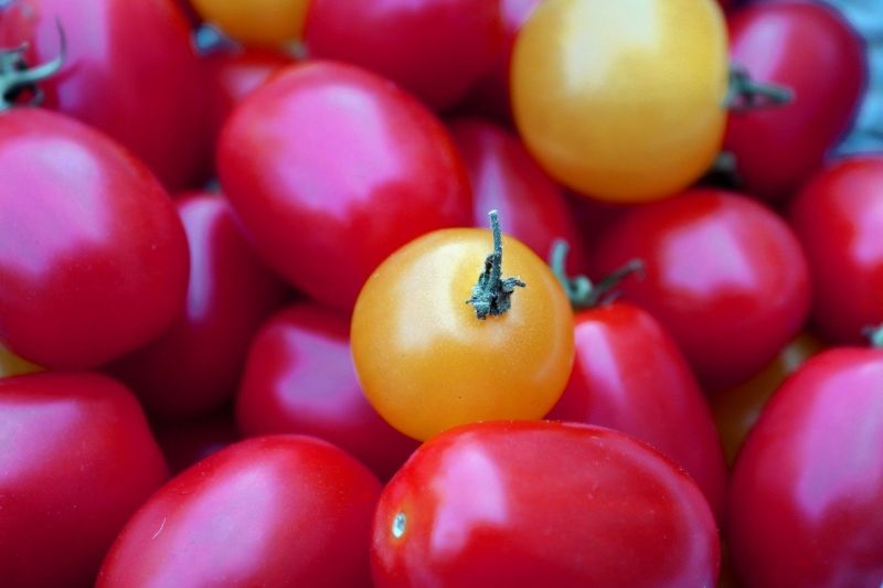 ▲小番茄該選圓形或尖形？《小茉莉美食記》專欄就指出，具有「4特徵」最好吃，既新鲜又多汁。 （圖／取自pixabay）