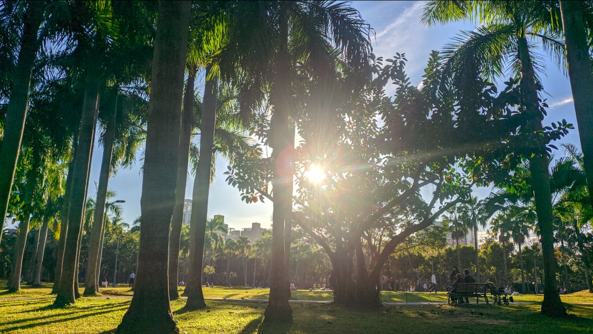 ▲Artem因陪伴老婆迎接新生兒來到了台灣，對台灣的冬天感到特別滿意。(圖／Artem Z提供）