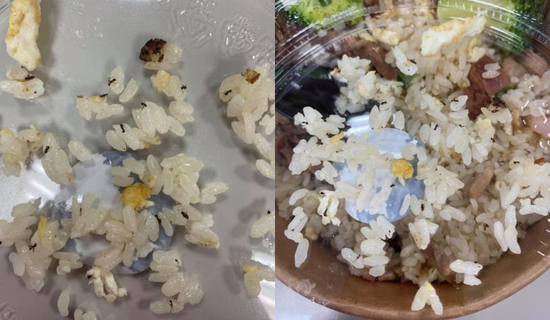 ▲一名男網友發文抱怨,表示自己日前叫了外送炒飯,豈料炒飯底下竟然有「滿滿的螞蟻」,讓他直呼「太扯了」。(圖/翻攝自《爆怨公社》)
