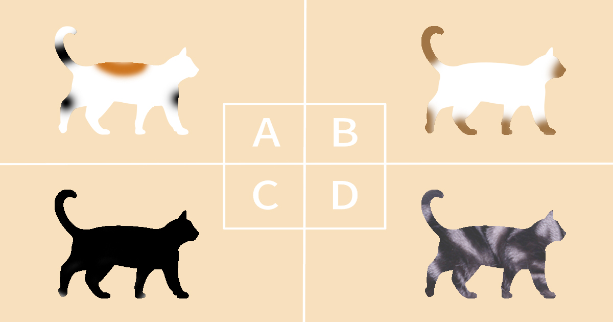 ▲最喜歡哪隻貓咪的花色呢？答案將揭露妳在感情中容易犯的最大缺點。（圖／翻攝《shinri》）