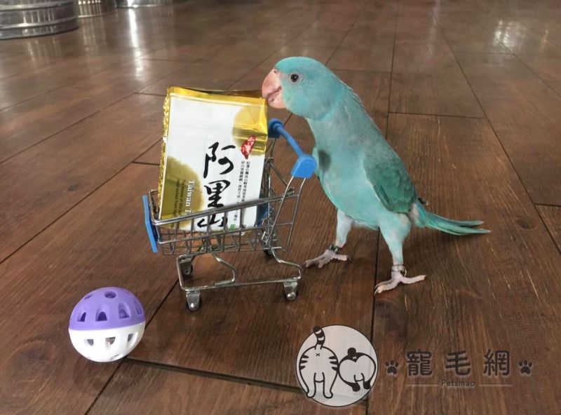 ▲採買中!(圖/網友Sara