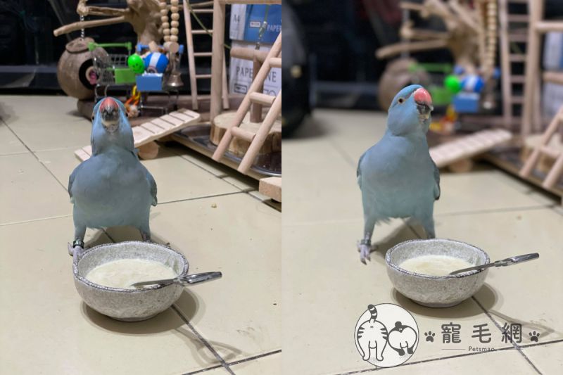▲喜歡自己大口大口喝奶(圖/網友Sara