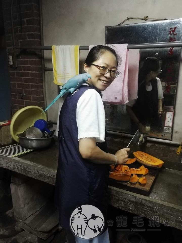 ▲酷比默默陪媽媽做事,不吵鬧!(圖/網友Sara