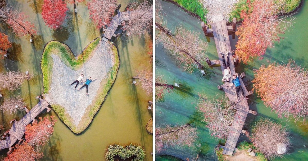 ▲澄霖沉香味道森林館 (圖／@taki788778提供/Instagram)