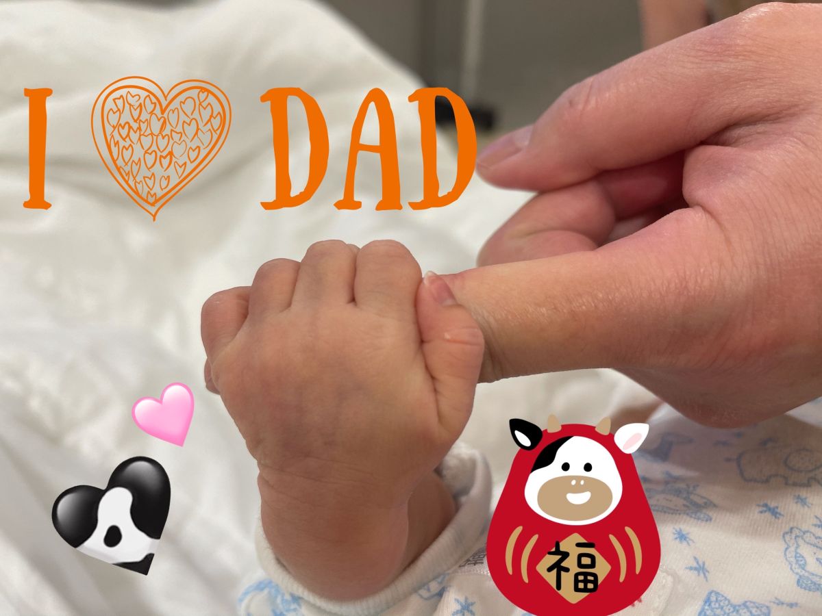 ▲殷琦兒子誕生，小小手握著爸爸大手。（圖／伊林）