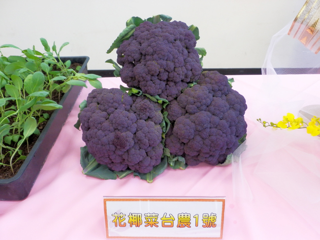 超市驚見紫色花椰菜 網嚇問 葡萄口味 真相曝光了 新奇 Nownews今日新聞