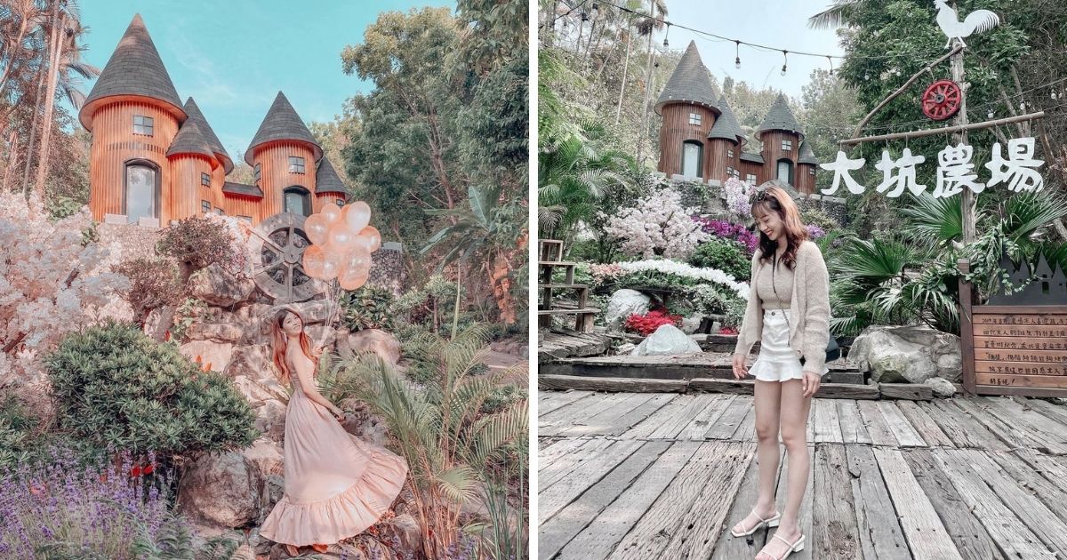 大坑休閒農場|  (圖／@babe_nini (左) 和 @looyui (右)/Instagram提供)