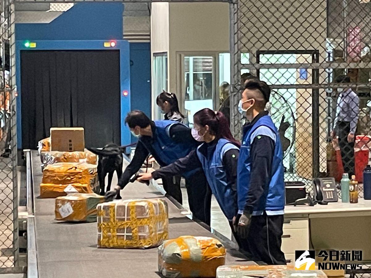 ▲防堵非洲豬瘟，財政部關務署檢討快遞貨物通關及查緝作為，依快遞業者進口違規情節滾動修正其風險等級，並要求最高風險等級業者不得併袋通關。（圖／資料照，記者陳志仁攝）